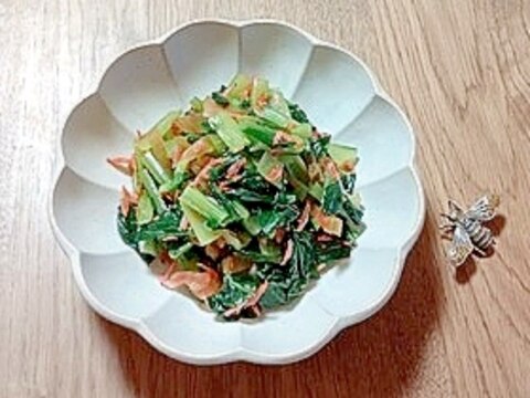 小松菜と搾菜・桜海老の和え物